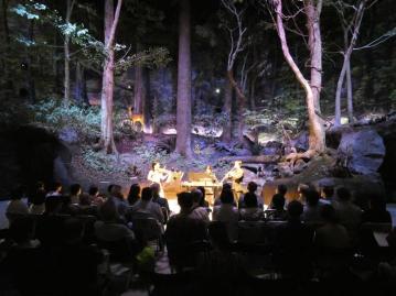 森で聴く木の楽器による室内楽のハイライト画像