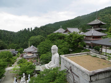 壷阪寺 ／ 田中 洋一、西本 貴至、原 満章、岩高 淳のハイライト画像