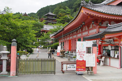 壷阪寺 ／ 田中 洋一、西本 貴至、原 満章、岩高 淳のハイライト画像