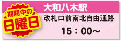 大和八木駅 改札口前南北自由通路 日曜日15：00〜